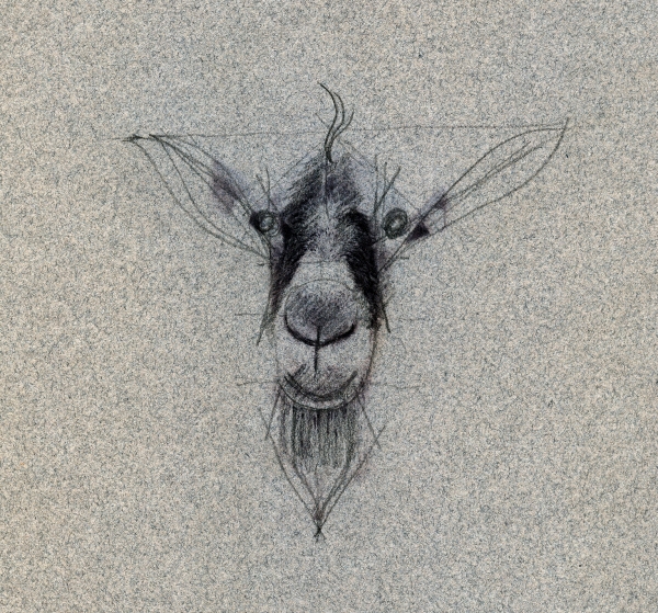 Creation of Blue goat: Step 1